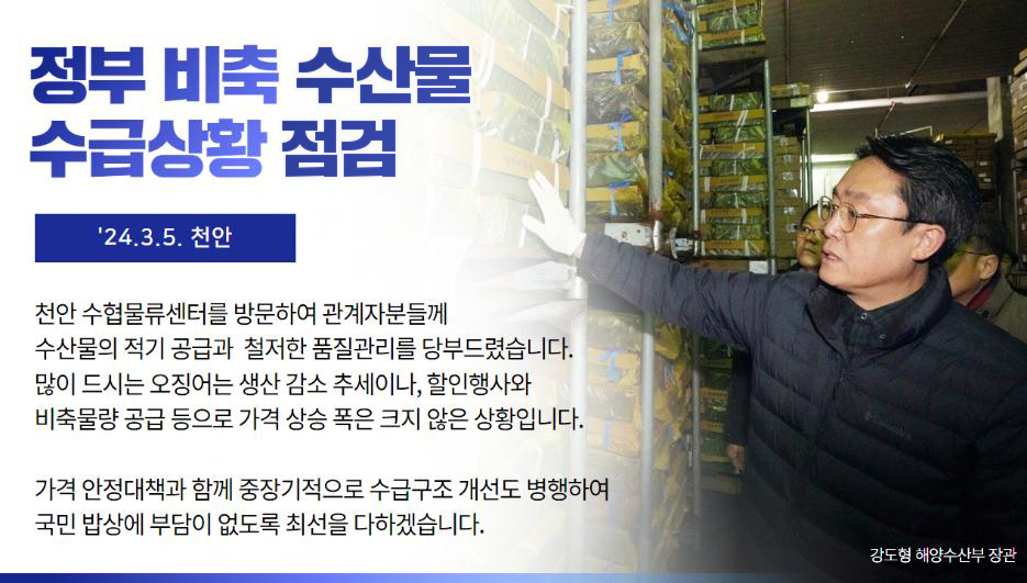 정부 비축 오징어 방출 현장 점검 (24