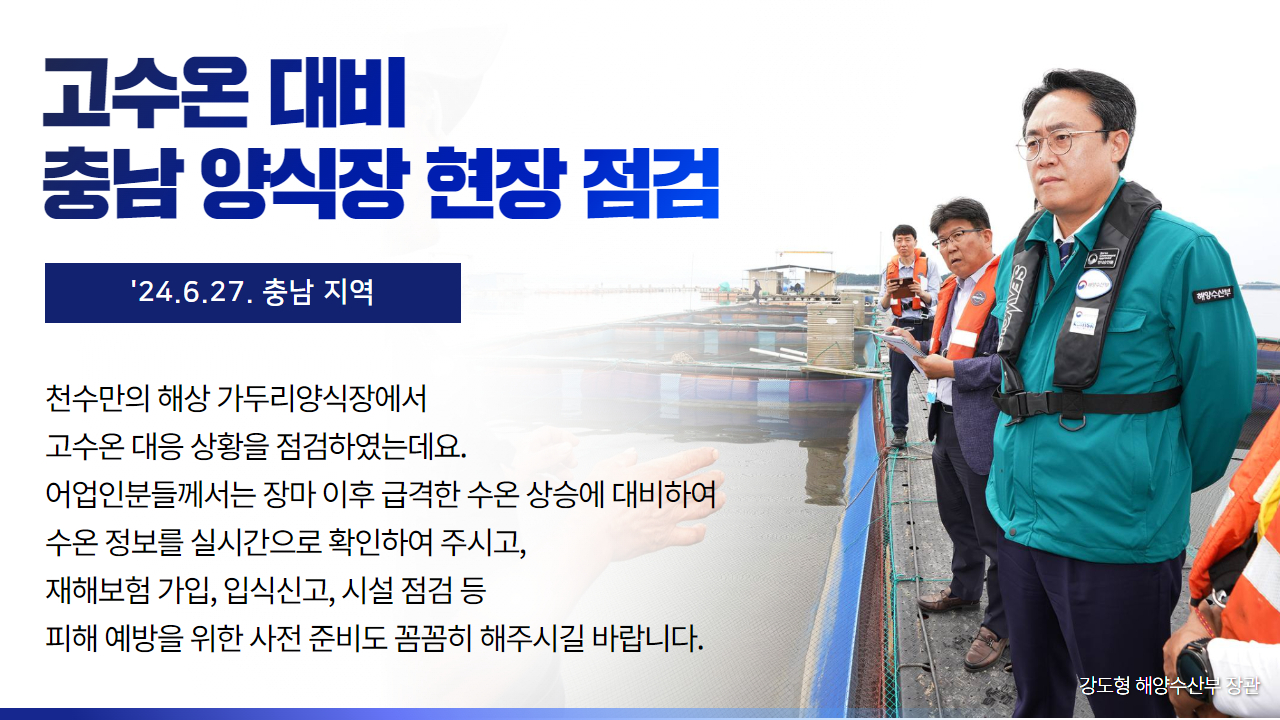 충남 서산 가두리 양식장 고수온 대응 현장점검(24