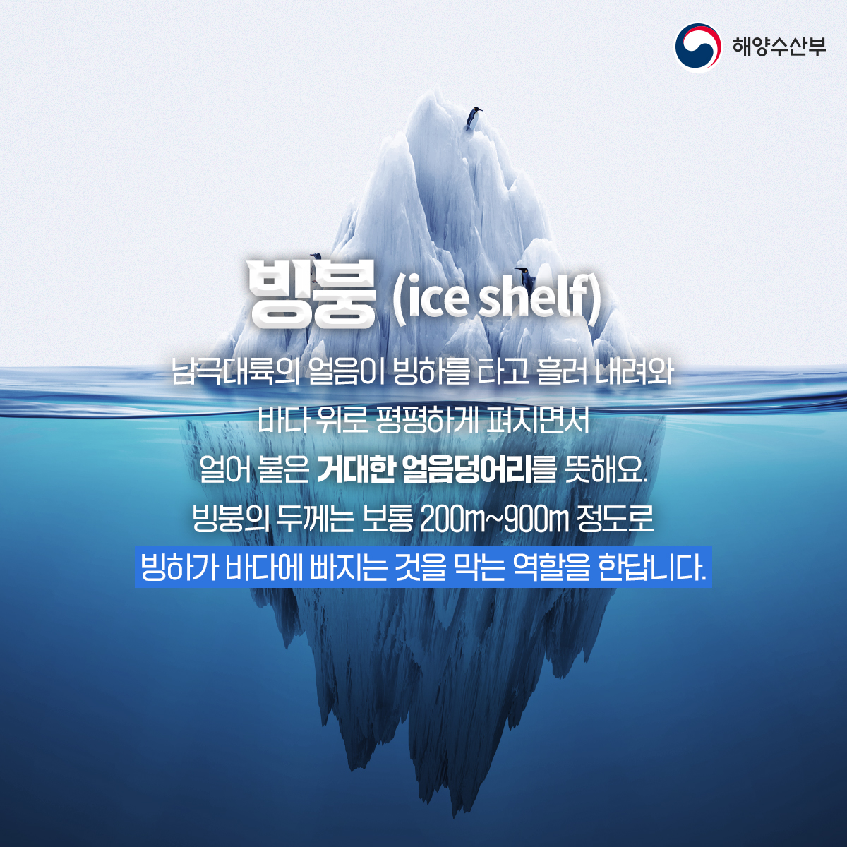 빙붕(ice shelf) 남극대륙의 얼음이 빙하를 타고 흘러 내려와 바다 위로 평평하게 펴지면서 얼어 붙은 거대한 얼음덩이리를 뜻해요. 빙붕의 두께는 보통 200m~900m 정도로 빙하가 바다에 빠지는 것을 막는 역할을 한답니다.