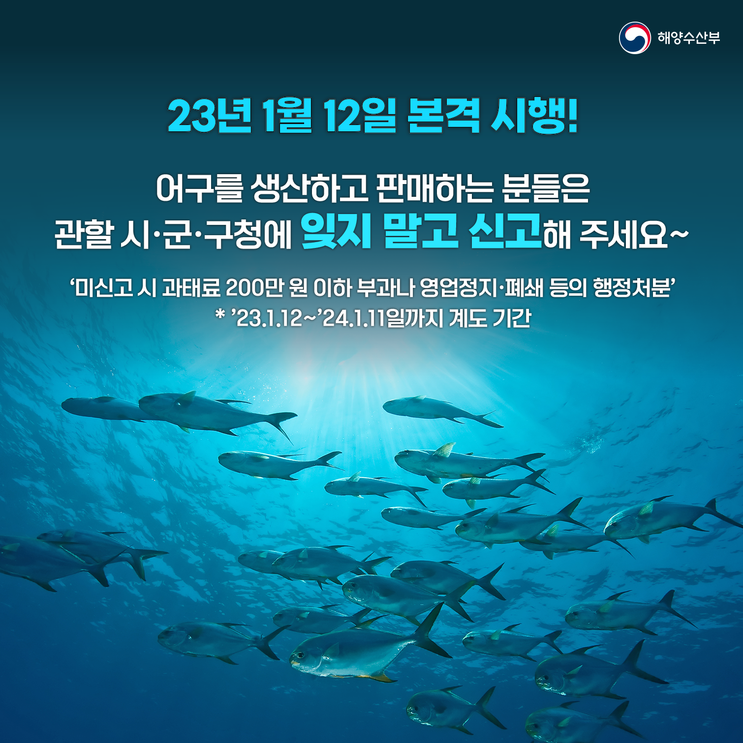 23년 1월 12일 본격 시행! 어구를 생산하고 판매하는 분들은 관할 시 군 구청에 잊지 말고 신고해 주세요~ 미신고 시 과태료 200만원 이하 부과나 영업정지 폐쇄 등의 행정처분 *23.1.12~24.1.11일까지 계도 기간