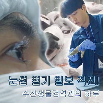 눈썹 얼기 일보 직전! 수산생물검역관의 하루